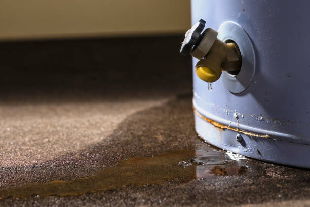 Best Carpet water damage restoration  in Minoa, NY