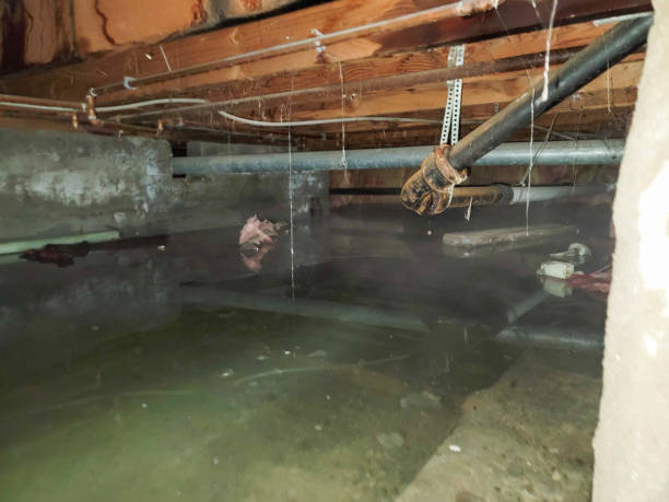 Best Carpet water damage restoration  in Minoa, NY