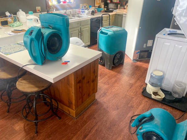 Best Sewage cleanup and water damage restoration  in Minoa, NY