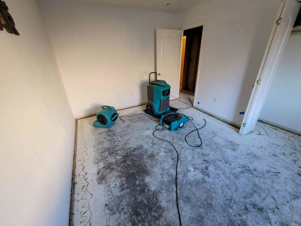 Best 24-hour water damage restoration  in Minoa, NY
