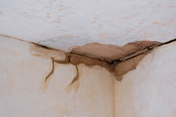 Best Mold removal after water damage  in Minoa, NY
