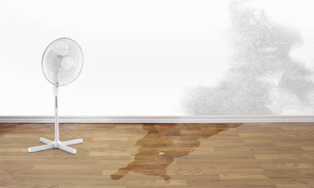 Best 24-hour water damage restoration  in Minoa, NY
