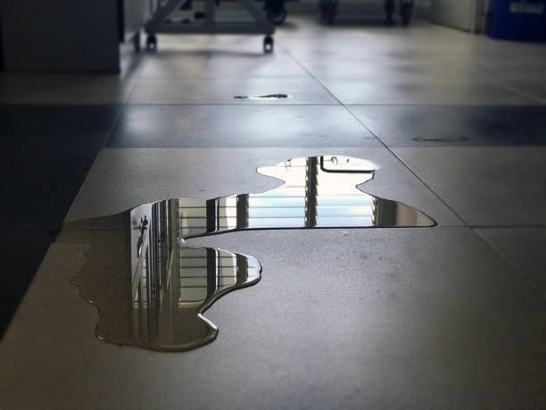Best Water damage restoration near me  in Minoa, NY