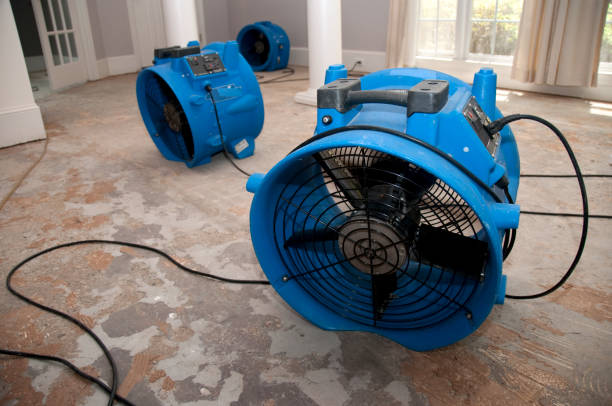 Best Ceiling water damage repair  in Minoa, NY