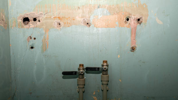 Best Water damage contractors near me  in Minoa, NY