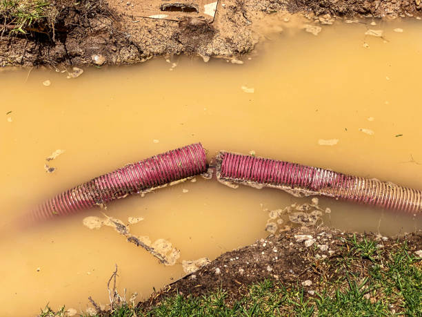 Best Flood damage cleanup  in Minoa, NY