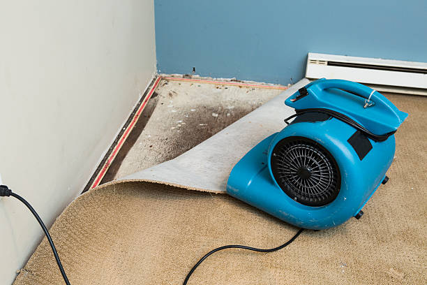 Best Ceiling water damage repair  in Minoa, NY